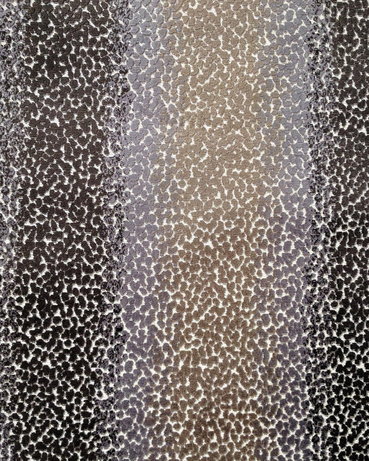 ev964-238-min_a16a995c-f68e-4352-9d19-b0c1eeb22a1e.jpg ev964 238 min a16a995c f68e 4352 9d19 b0c1eeb22a1e